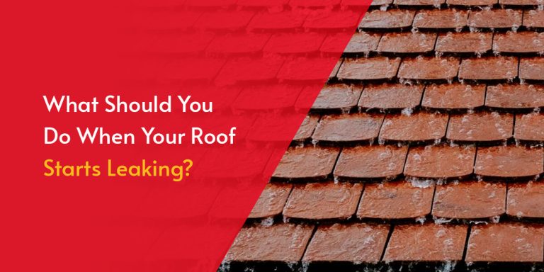 what-should-you-do-when-your-roof-starts-leaking